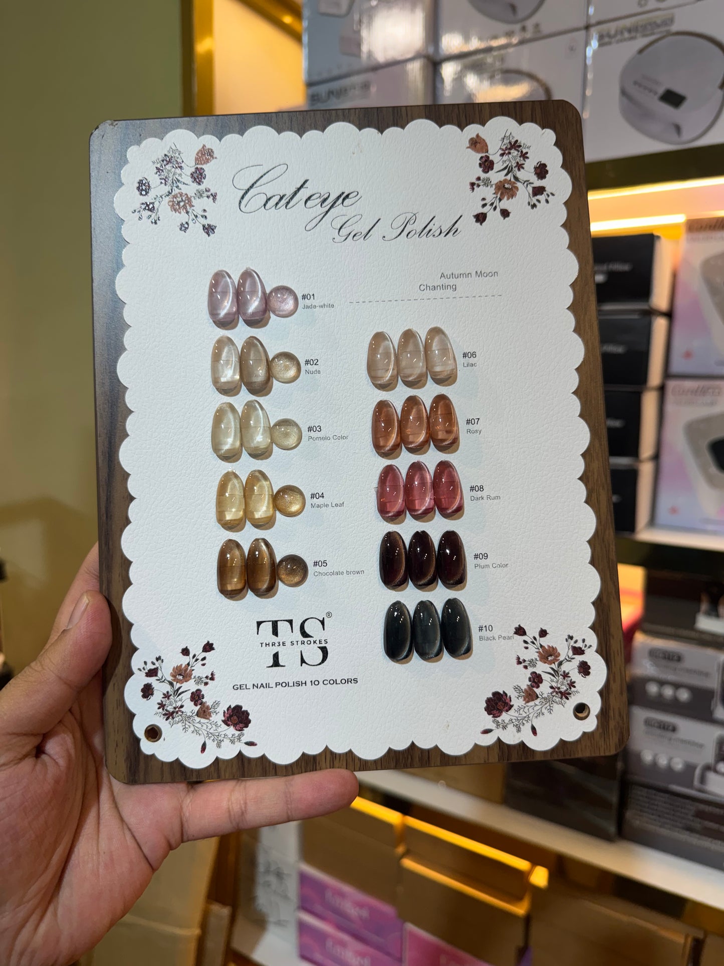 Three Strokes 10pc Autumn Cat Eye Set- Magnet & Shade Card Included