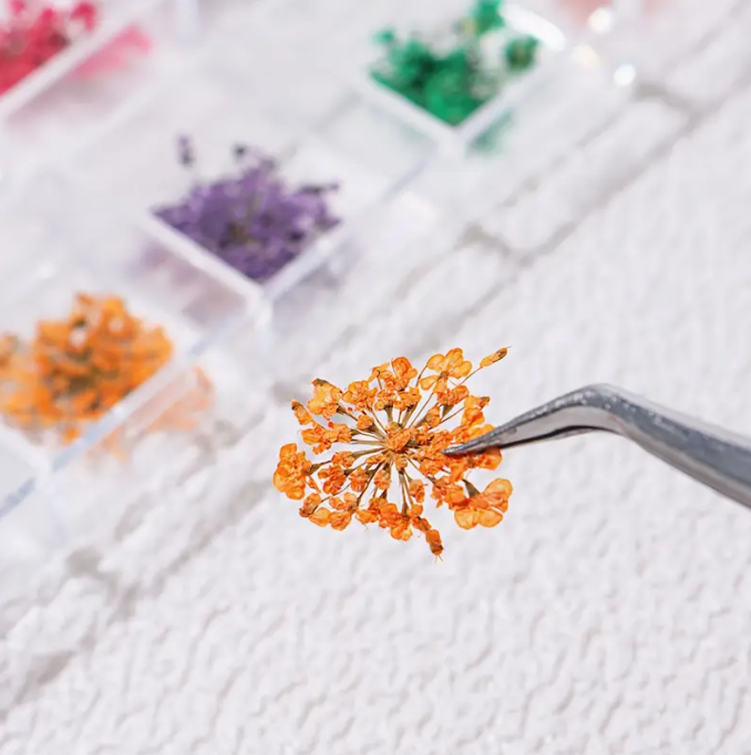 Dry Flowers