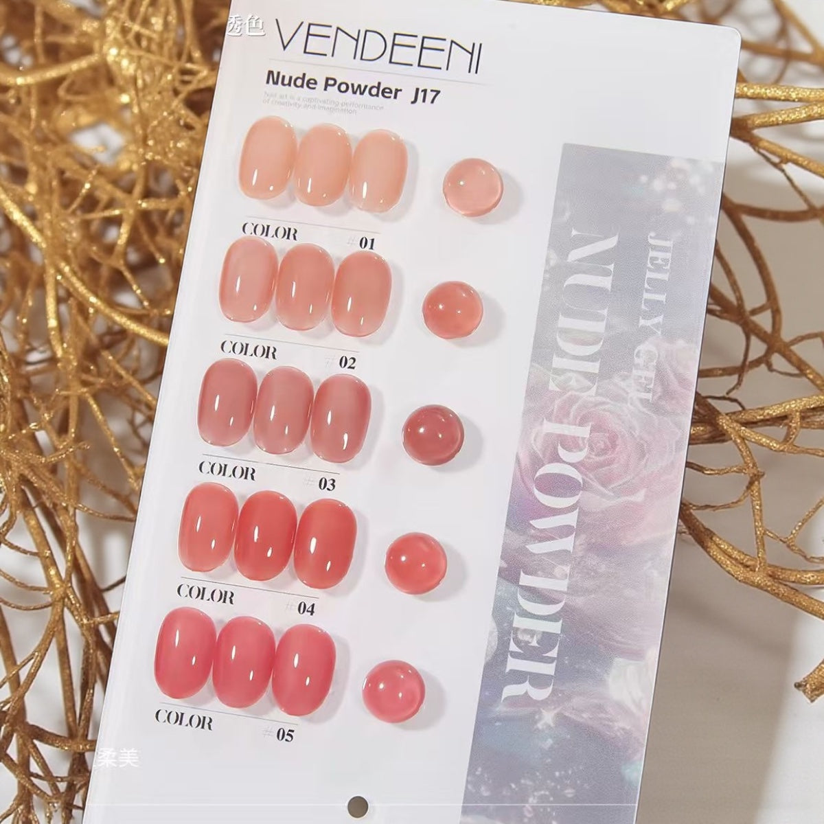 Vendeeni 5pc French Base Colour Set with Shade Card (J17)